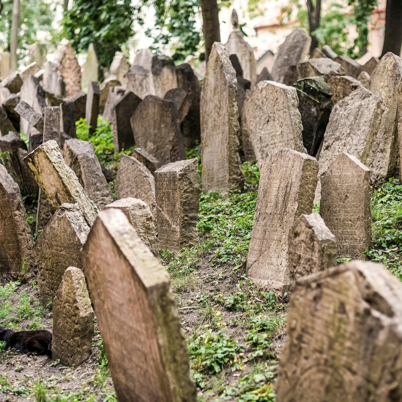 Jewish Quarter Monuments + Guided Tour - Photo 1 of 25